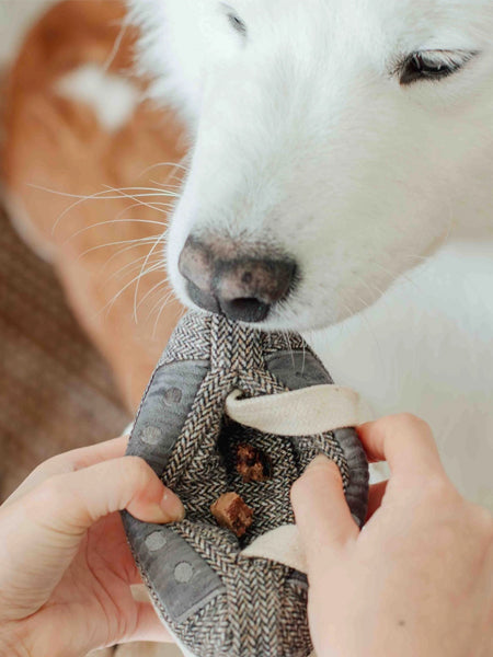 Lambwolf-Collective-jouet-design-minimalist-pour-chien-casette