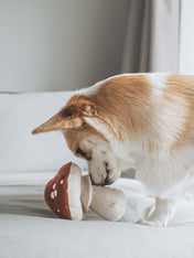 Lambwolf-Collective-jouet-design-minimalist-pour-chien-champignon-Shroom