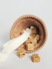 Lambwolf-Collective-jouet-design-minimalist-pour-chien-fouille-ice-cream-pop