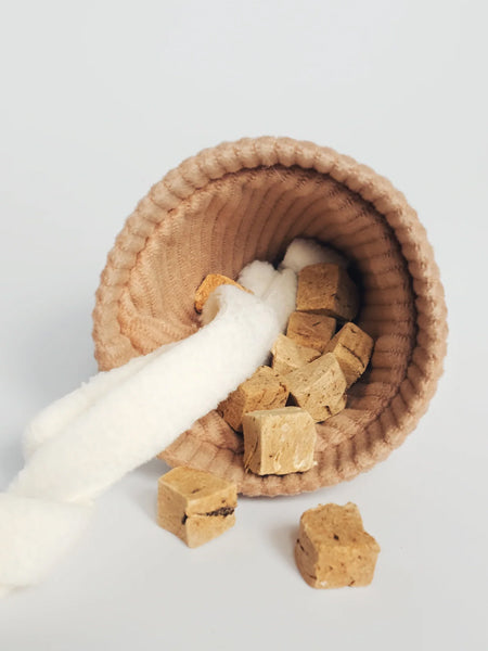 Lambwolf-Collective-jouet-design-minimalist-pour-chien-fouille-ice-cream-pop