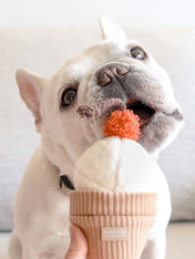 Lambwolf-Collective-jouet-design-minimalist-pour-chien-fouille-ice-cream-pop