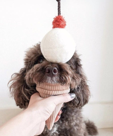 Lambwolf-Collective-jouet-design-minimalist-pour-chien-fouille-ice-cream-pop
