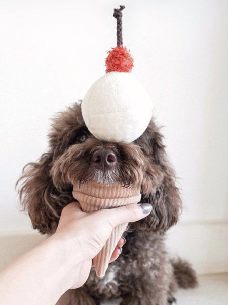 Lambwolf-Collective-jouet-design-minimalist-pour-chien-fouille-ice-cream-pop