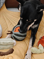 Lambwolf-Collective-jouet-design-minimalist-pour-chien-pasteque