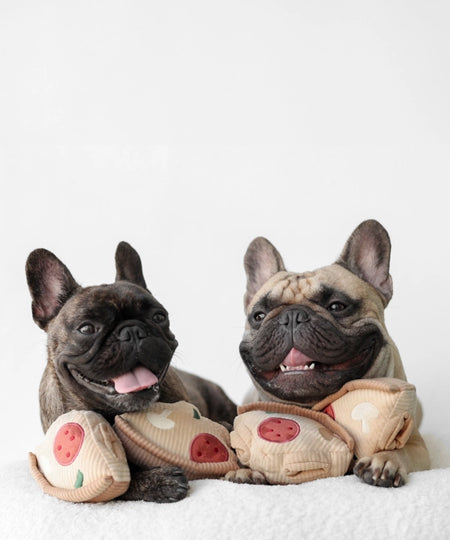 Jeu d'occupation pour chien - Pizza - Lambwolf Collective - inooko