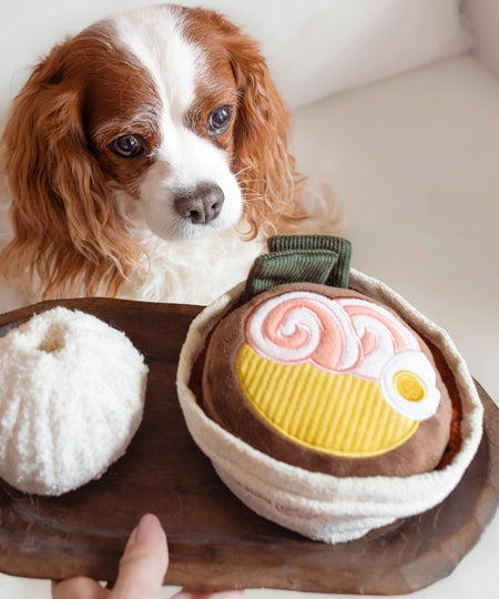 Lambwolf-Collective-jouet-design-minimalist-pour-chien-ramen