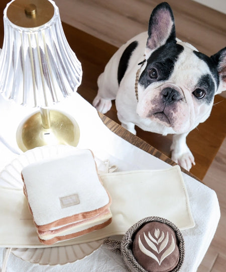 Lambwolf-Collective-jouet-design-minimalist-pour-chien-sandwish