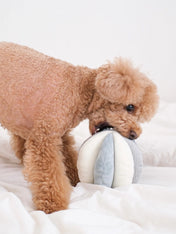 Lambwolf-Collective-jouet-fouille-balle-enrichissement-pour-chien-Toto-bleu