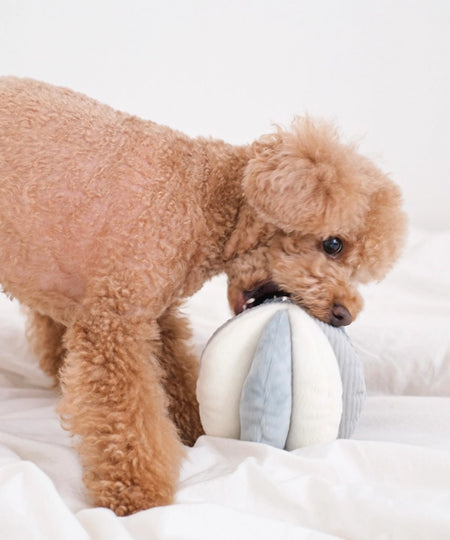 Lambwolf-Collective-jouet-fouille-balle-enrichissement-pour-chien-Toto-bleu