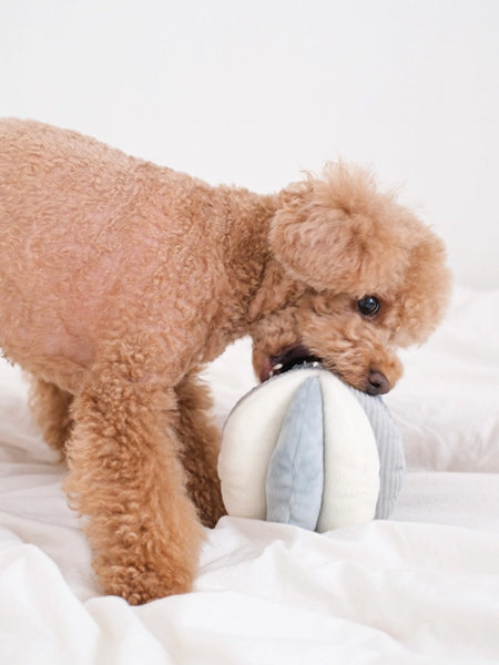 Lambwolf-Collective-jouet-fouille-balle-enrichissement-pour-chien-Toto-bleu