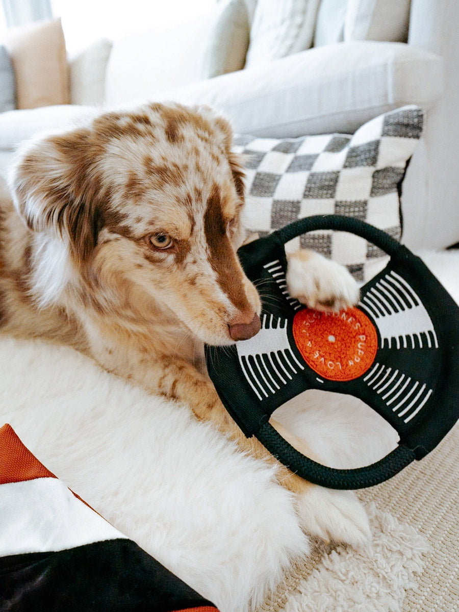 Lambwolf-Collective-peluche-chien-interactive-design-Bark-To-Beat