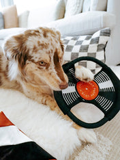 Lambwolf-Collective-peluche-chien-interactive-design-Bark-To-Beat