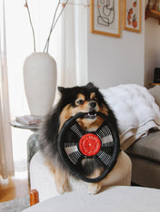 Lambwolf-Collective-peluche-chien-interactive-design-Bark-To-Beat