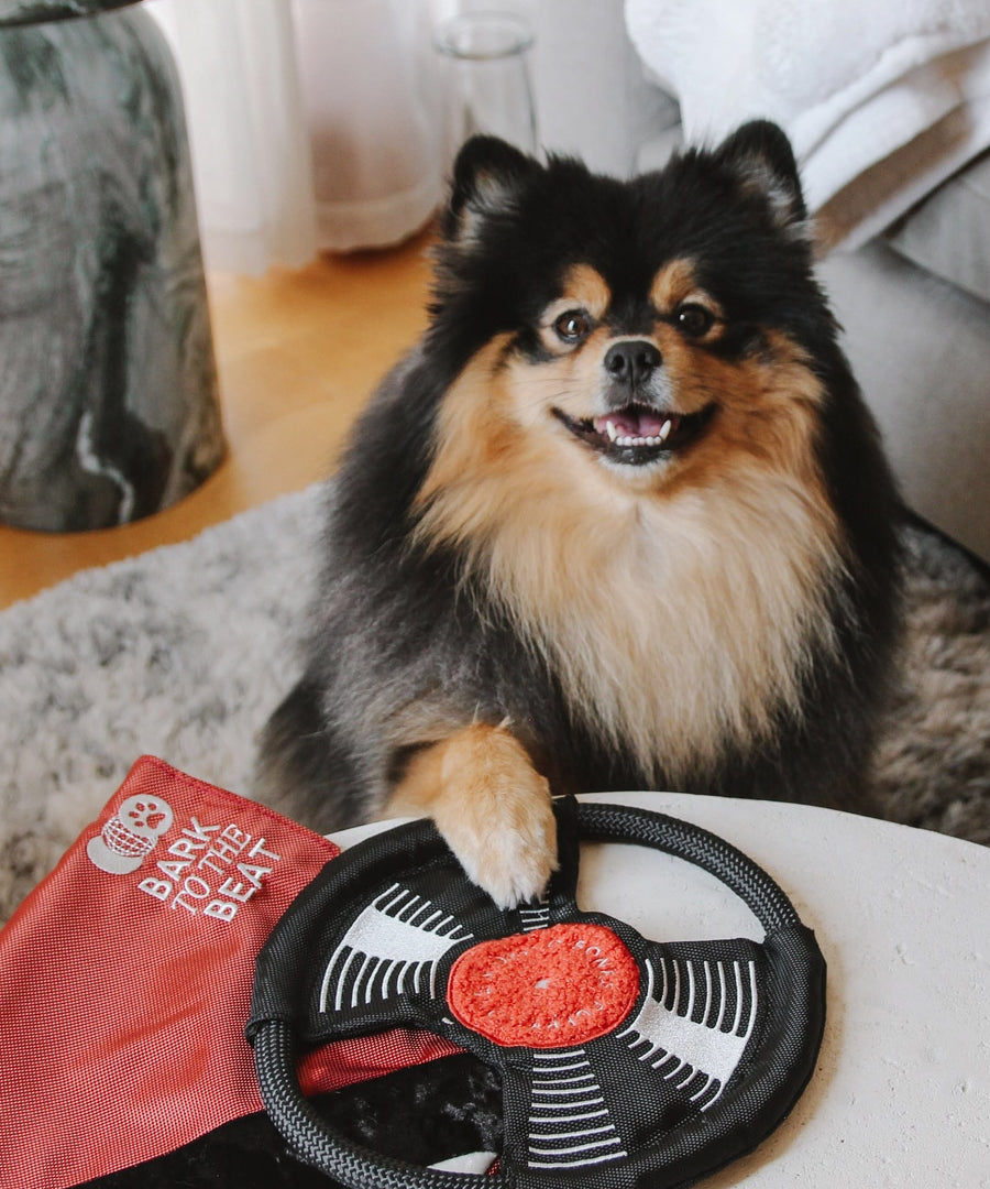 Lambwolf-Collective-peluche-chien-interactive-design-Bark-To-Beat