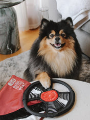 Lambwolf-Collective-peluche-chien-interactive-design-Bark-To-Beat