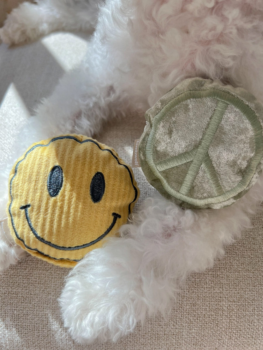 Lambwolf-Collective-peluche-chien-interactive-design-Roller-Skate