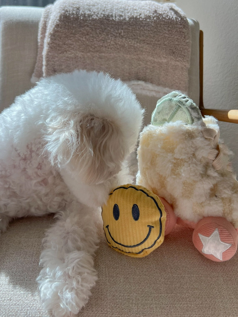 Lambwolf-Collective-peluche-chien-interactive-design-Roller-Skate