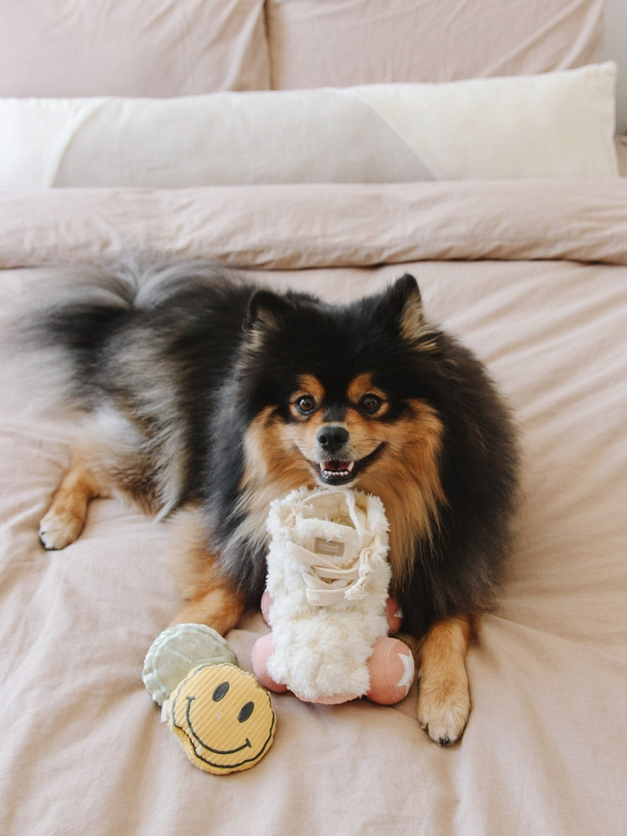 Lambwolf-Collective-peluche-chien-interactive-design-Roller-Skate