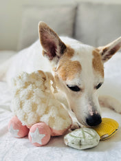 Lambwolf-Collective-peluche-chien-interactive-design-Roller-Skate