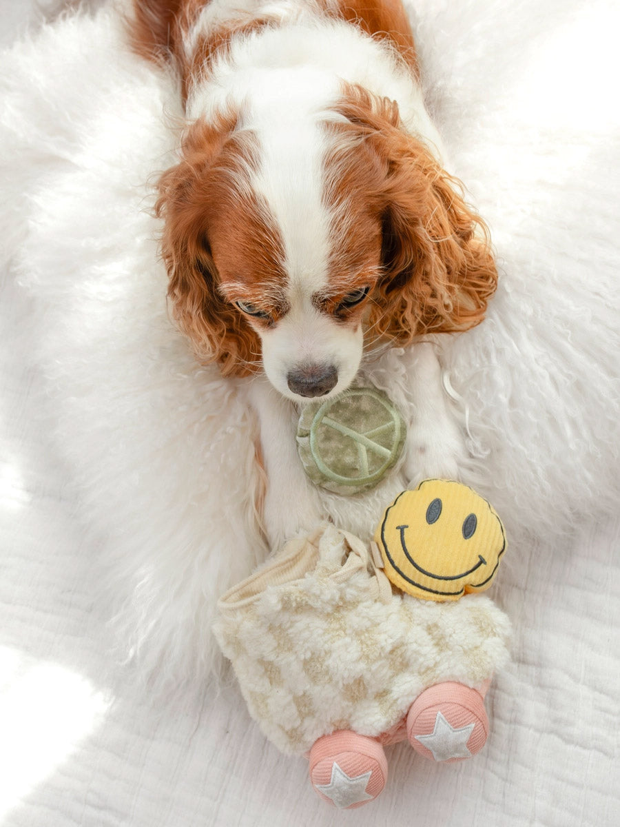 Lambwolf-Collective-peluche-chien-interactive-design-Roller-Skate