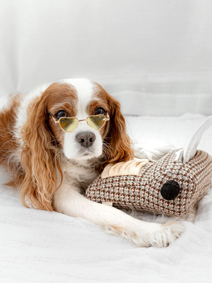 Lambwolf-Collective-peluche-chien-interactive-design-Typewriter