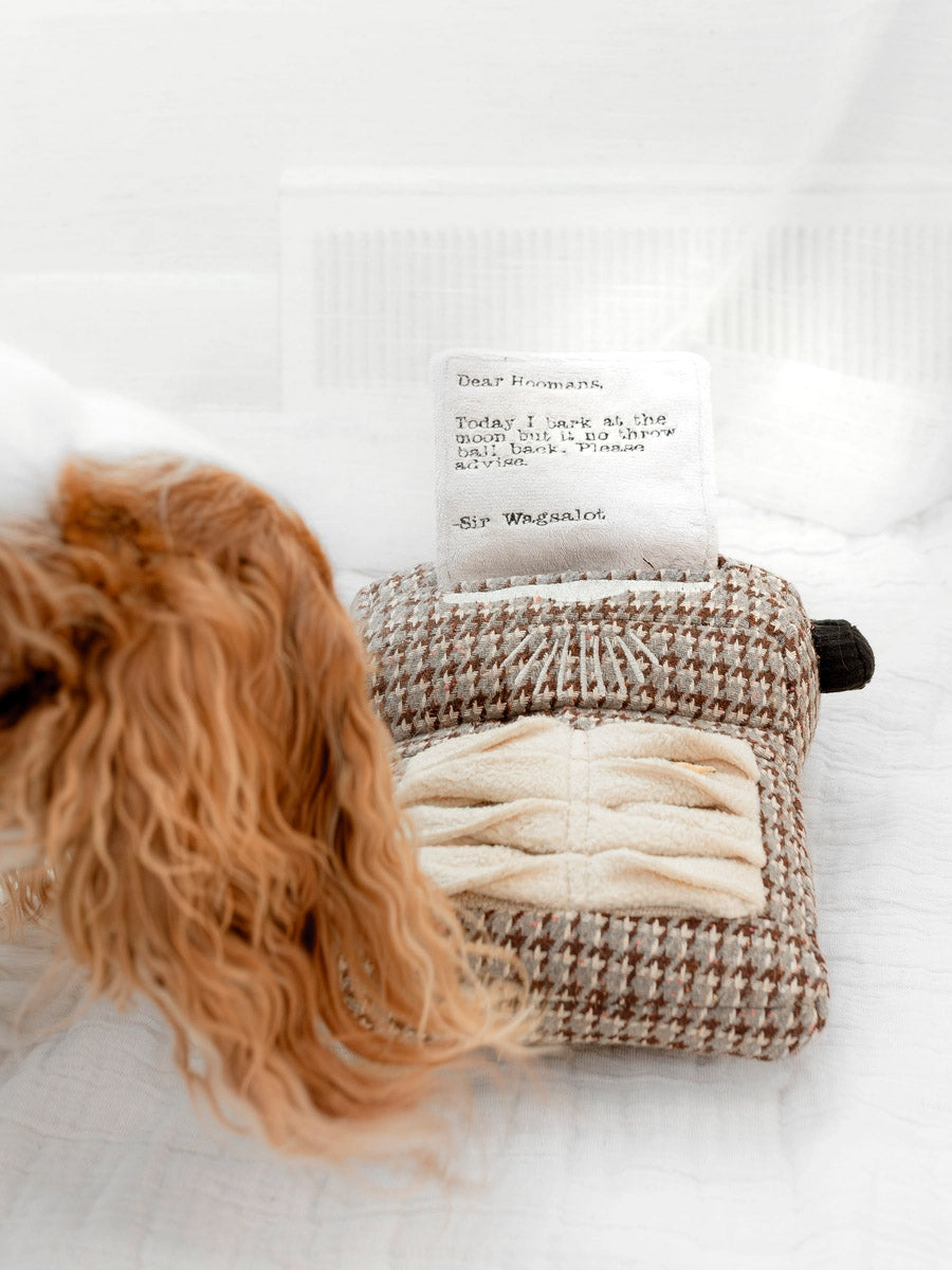 Lambwolf-Collective-peluche-chien-interactive-design-Typewriter