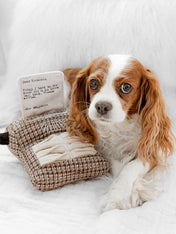 Lambwolf-Collective-peluche-chien-interactive-design-Typewriter