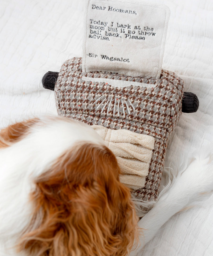 Lambwolf-Collective-peluche-chien-interactive-design-Typewriter
