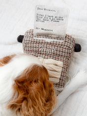 Lambwolf-Collective-peluche-chien-interactive-design-Typewriter