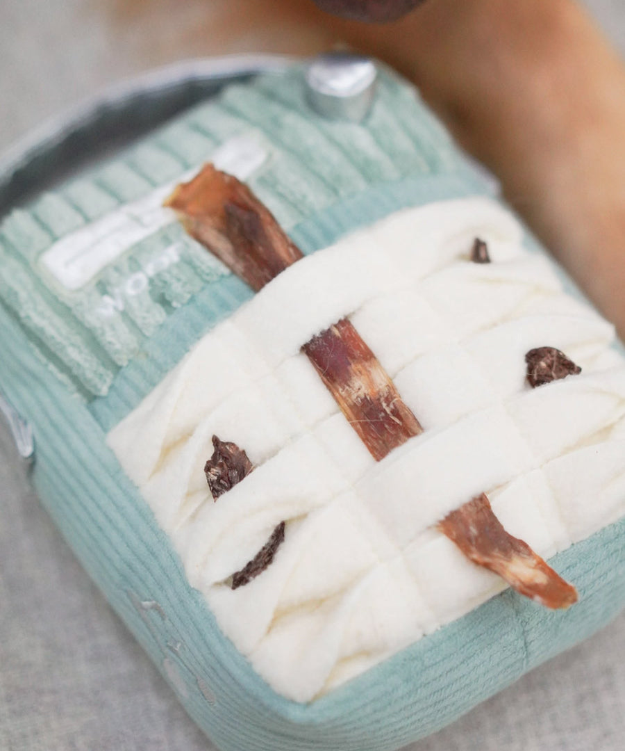 Lambwolf-Collective-peluche-chien-interactive-design-Woof-Fm