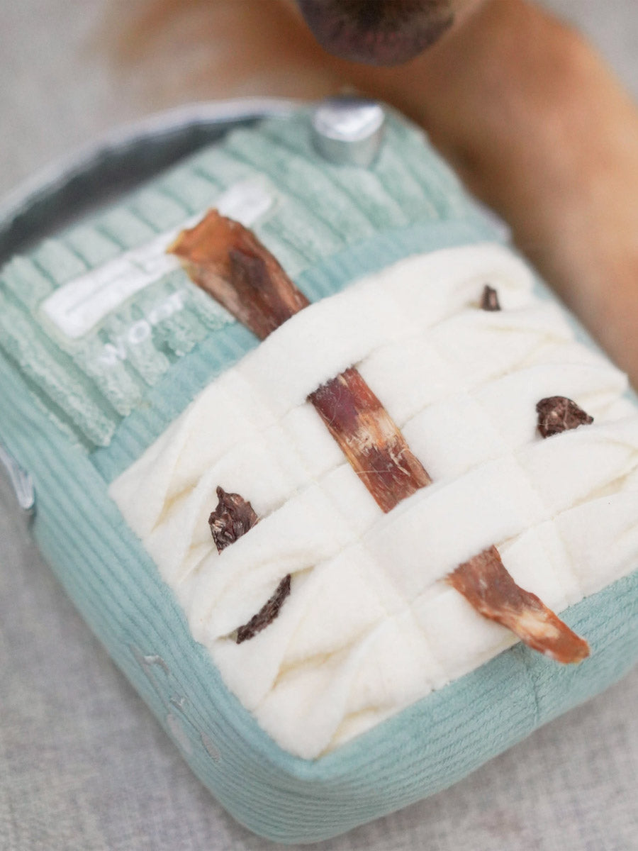 Lambwolf-Collective-peluche-chien-interactive-design-Woof-Fm