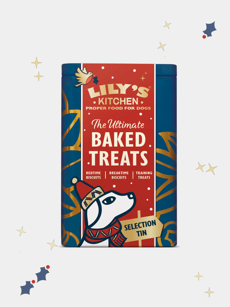 Lily_s-Kitchen-boite-coffret-friandises-chien-de-noel-2025