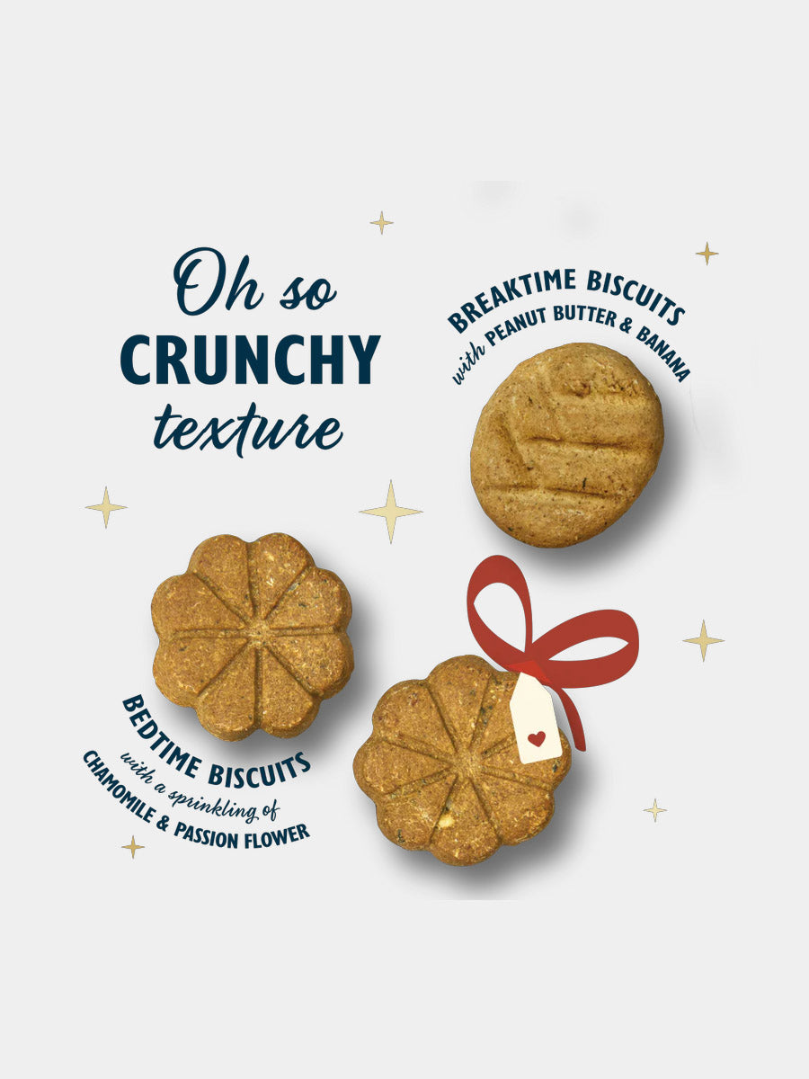 Lily_s-Kitchen-calendrier-de-l-avent-chien-noel-2025