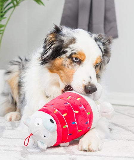 Lulubelles-peluche-pour-chien-ours-polaire-noel