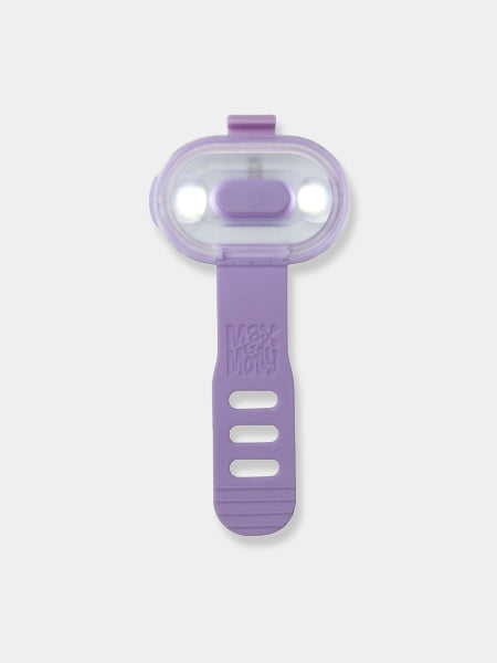 Max-Molly-lumiere-securite-visibilite-pour-chien-lavende