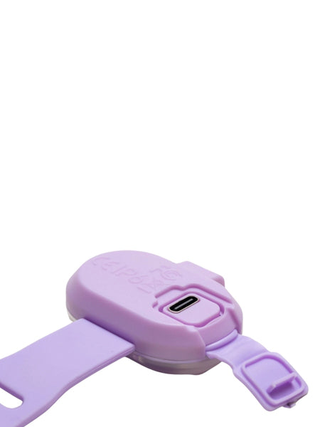 Max-Molly-lumiere-securite-visibilite-pour-chien-lavende