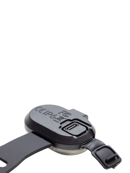 Max-Molly-lumiere-securite-visibilite-pour-chien-noir-2.0