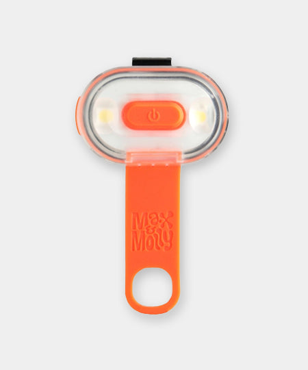 Max-Molly-lumiere-securite-visibilite-pour-chien-orange