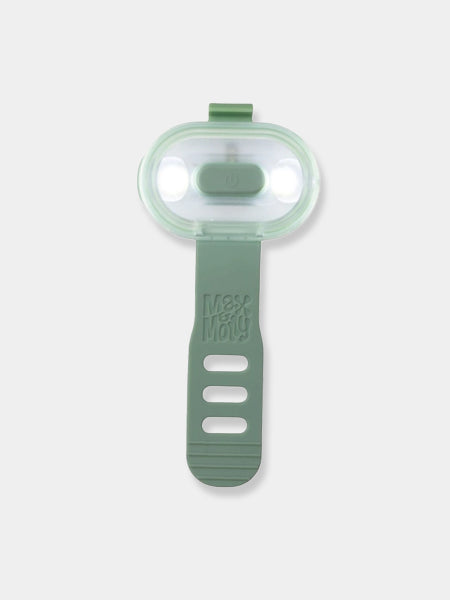 Max-Molly-lumiere-securite-visibilite-pour-chien-vert-sauge