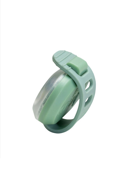 Max-Molly-lumiere-securite-visibilite-pour-chien-vert-sauge