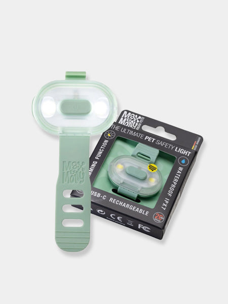 Max-Molly-lumiere-securite-visibilite-pour-chien-vert-sauge