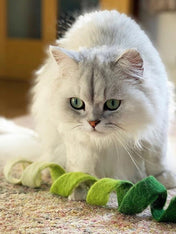 Mimis-Daughters-jouet-pour-chat-laine-naturelle-spirale-verte