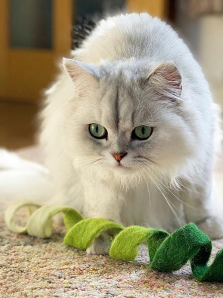    Mimis-Daughters-jouet-pour-chat-laine-naturelle-spirale-verte