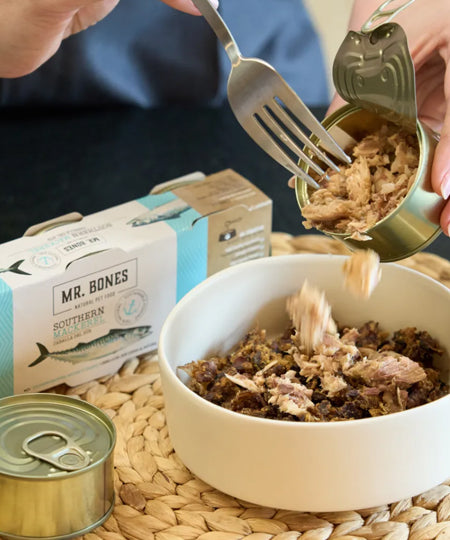 Mr-bones-topper-complement-alimentaire-pour-chien-filet-de-maquereau