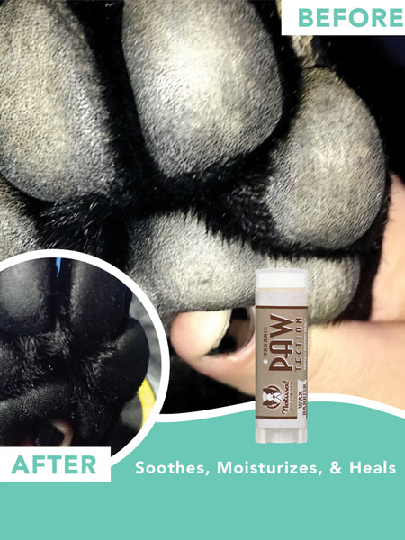 Natural-dog-company-soin-naturel-pour-chien-baume-protection-coussinet