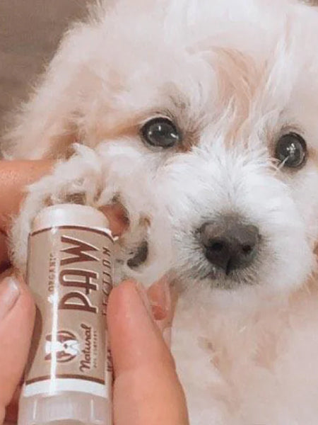 Natural-dog-company-soin-naturel-pour-chien-baume-protection-coussinet