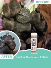 Natural-dog-company-soin-naturel-pour-chien-baume-reparateur-coussinet