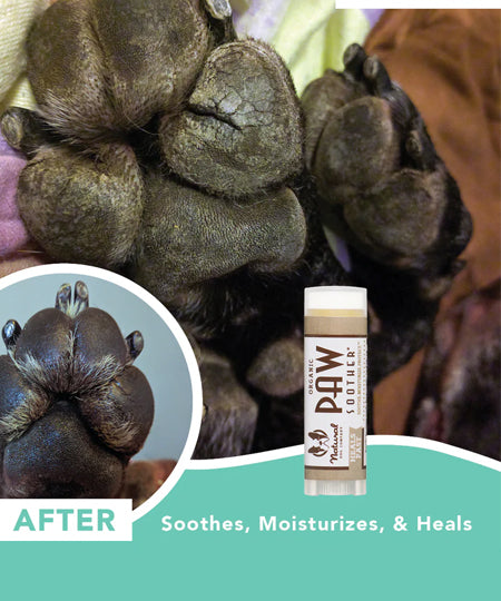 Natural-dog-company-soin-naturel-pour-chien-baume-reparateur-coussinet