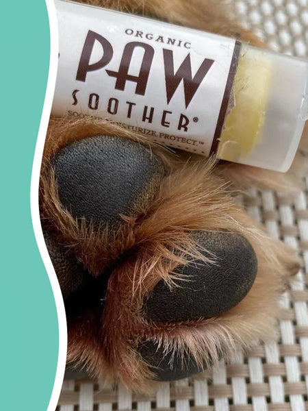 Natural-dog-company-soin-naturel-pour-chien-baume-reparateur-coussinet