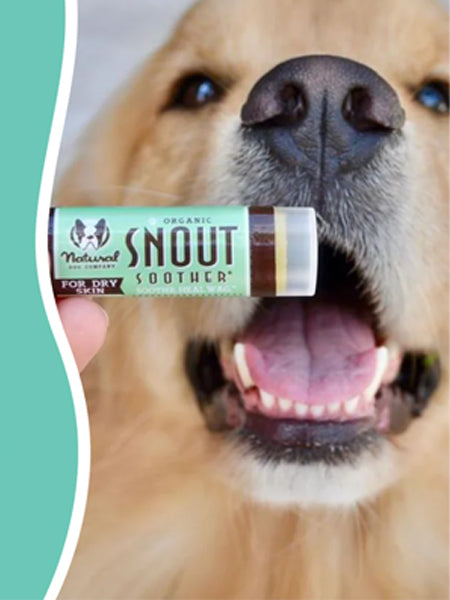 Natural-dog-company-soin-naturel-pour-chien-baume-reparateur-truffe
